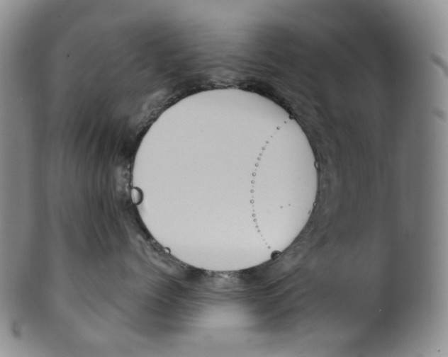 X0000100410768200806271443