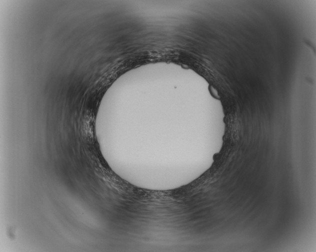 X0000100410770200806271443