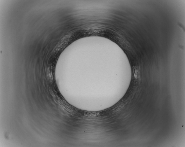 X0000100410771200806271443