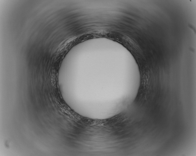 X0000100410773200806271443