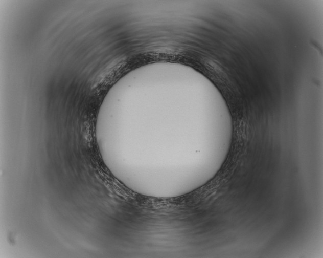 X0000100410774200806271443