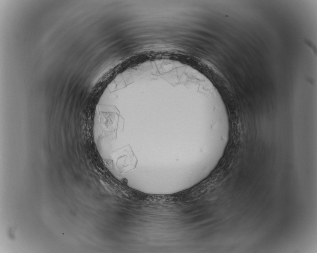 X0000100410775200806271443