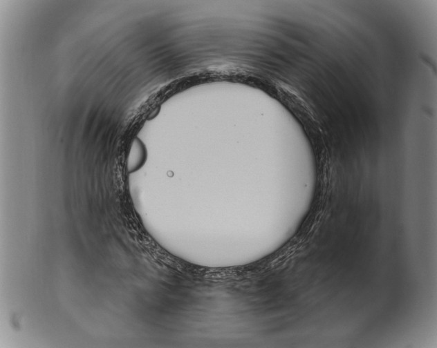 X0000100410776200806271443