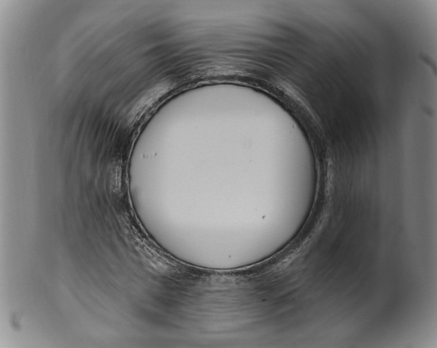 X0000100410777200806271443