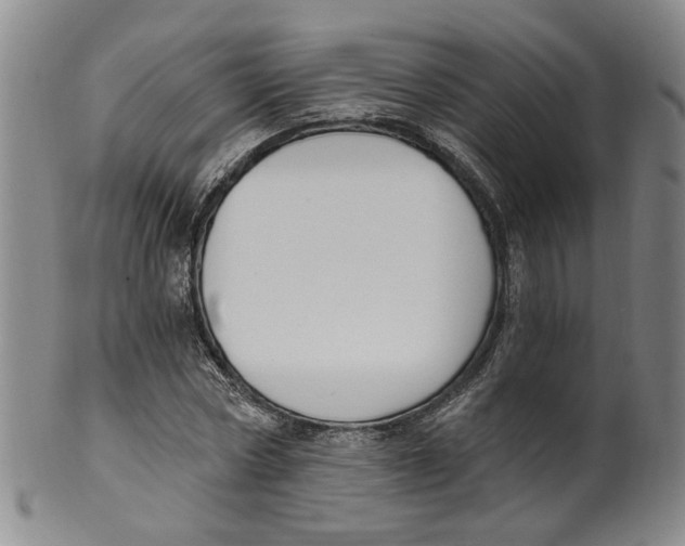 X0000100410778200806271443