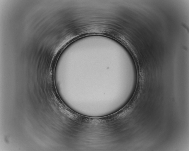 X0000100410779200806271443