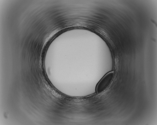 X0000100410780200806271443