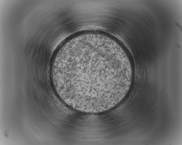 X0000100410783200806271442