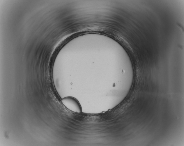 X0000100410784200806271442