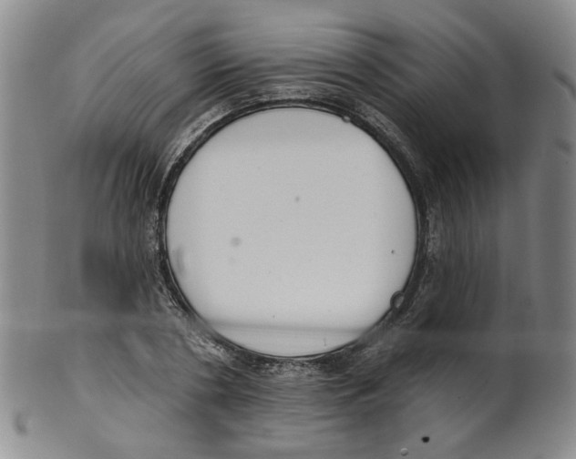 X0000100410786200806271442