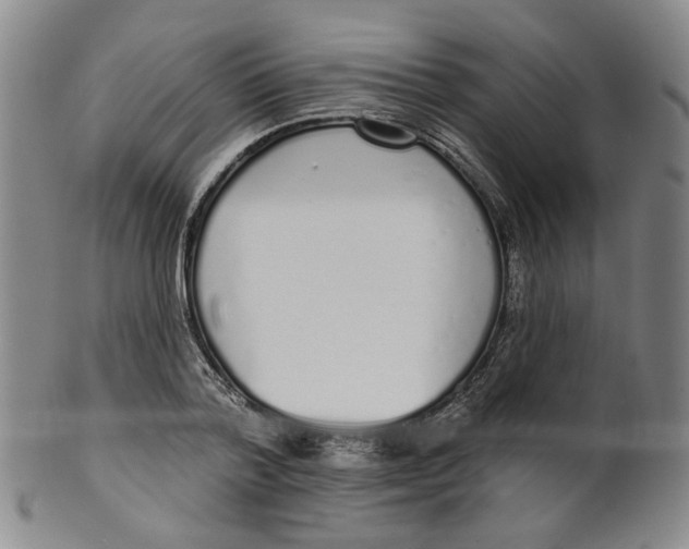 X0000100410788200806271442