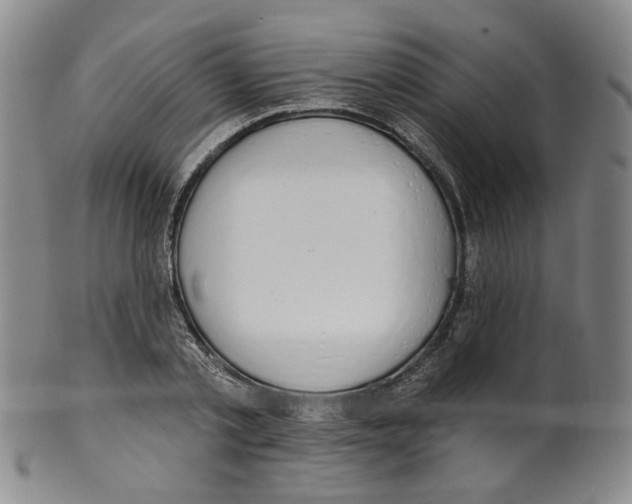 X0000100410789200806271442