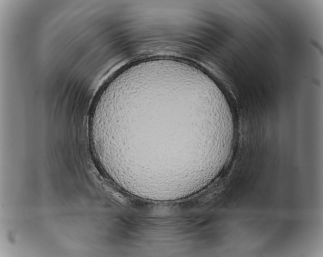 X0000100410790200806271442