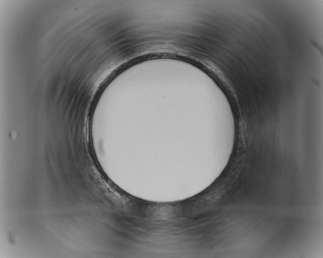 X0000100410791200806271442