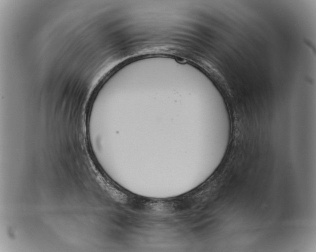 X0000100410792200806271442