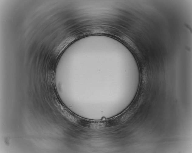 X0000100410793200806271442