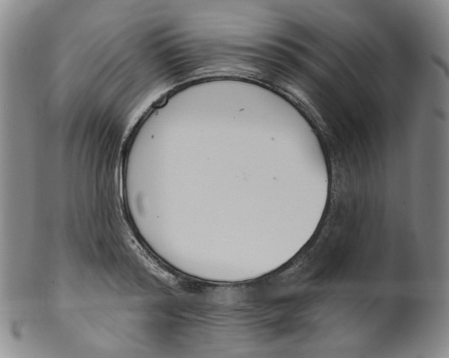 X0000100410796200806271442