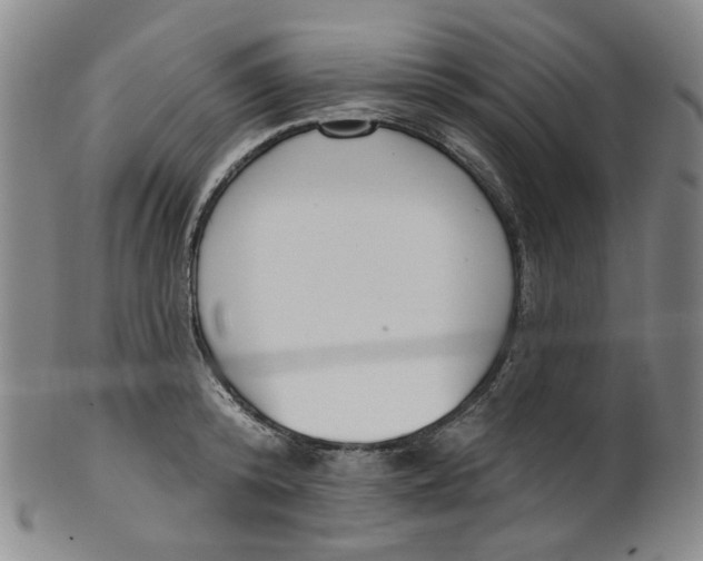 X0000100410800200806271442