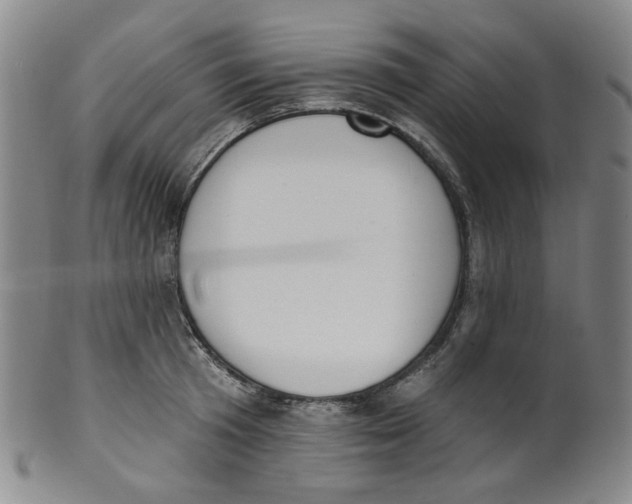 X0000100410801200806271442