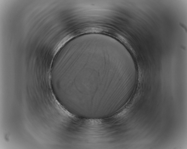 X0000100410802200806271442