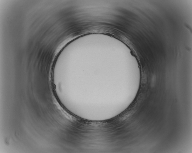 X0000100410803200806271442