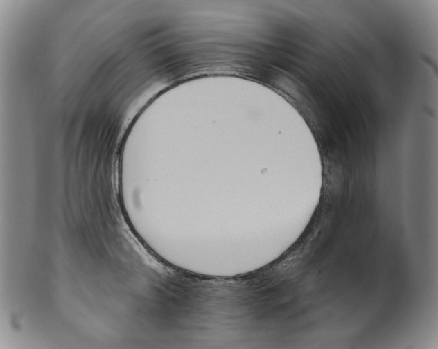 X0000100410804200806271442