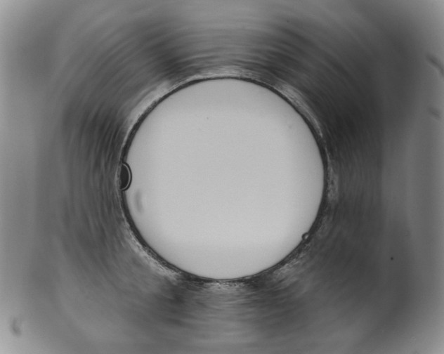 X0000100410805200806271442