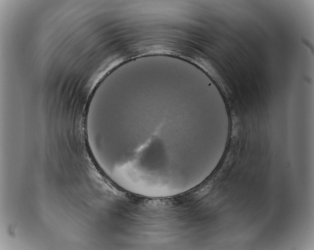 X0000100410806200806271442