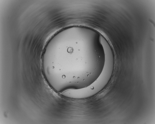 X0000100410807200806271442