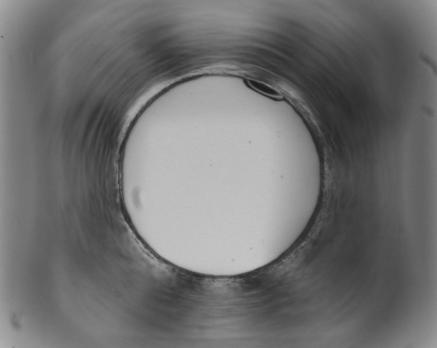 X0000100410808200806271442