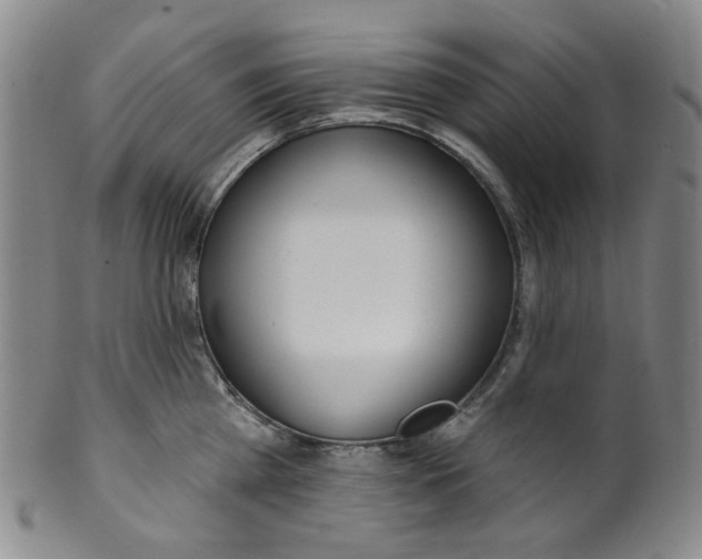 X0000100410809200806271442