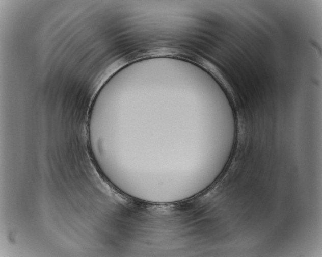 X0000100410810200806271442