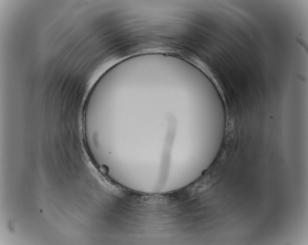 X0000100410811200806271442