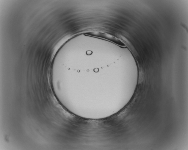 X0000100410812200806271442