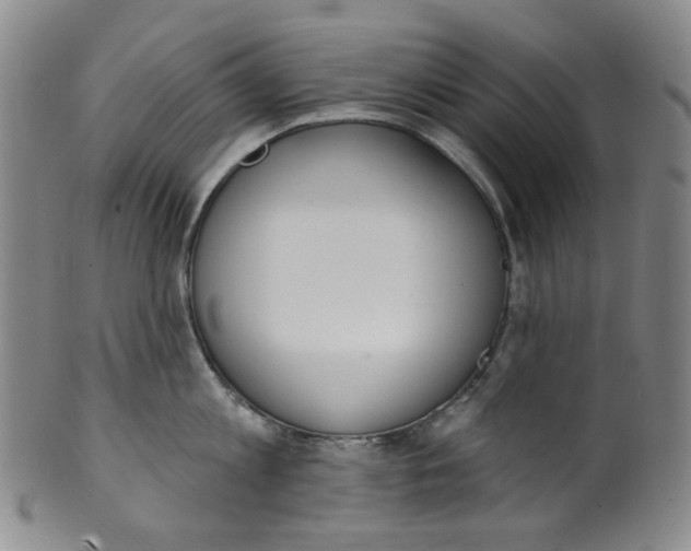 X0000100410813200806271442