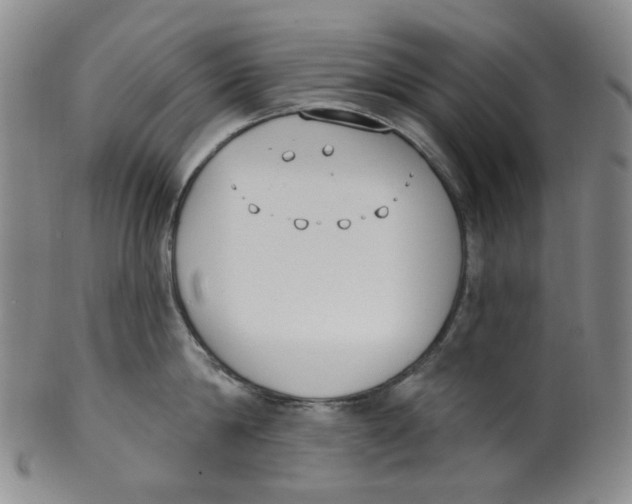 X0000100410814200806271442