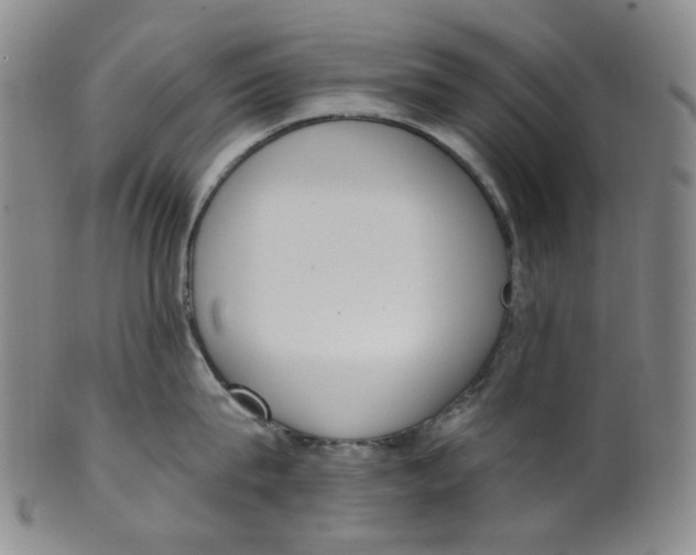 X0000100410815200806271442