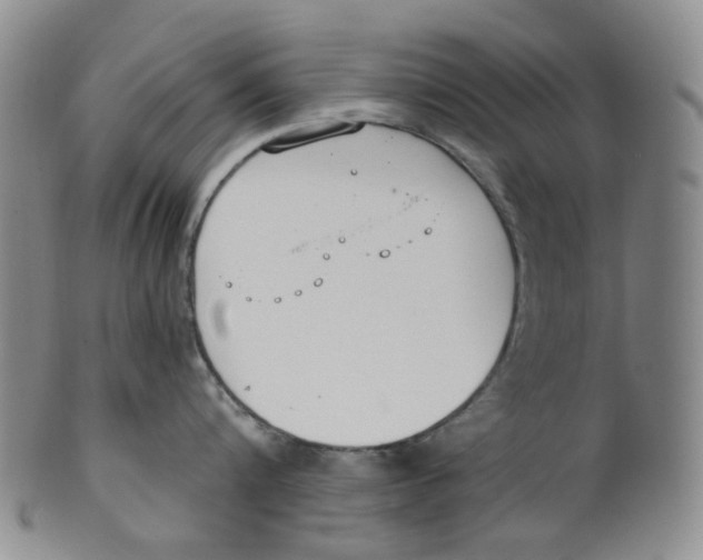 X0000100410816200806271442