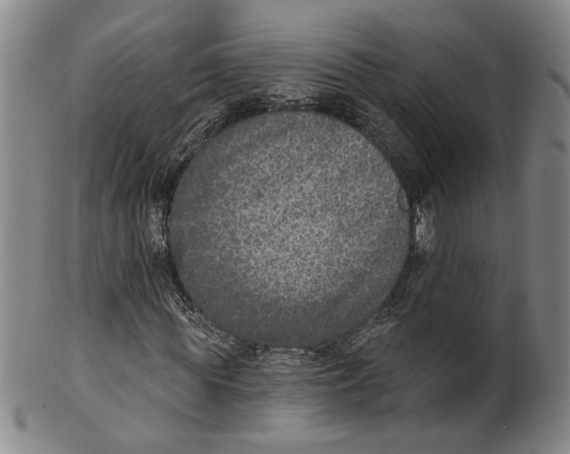 X0000100410819200806271441