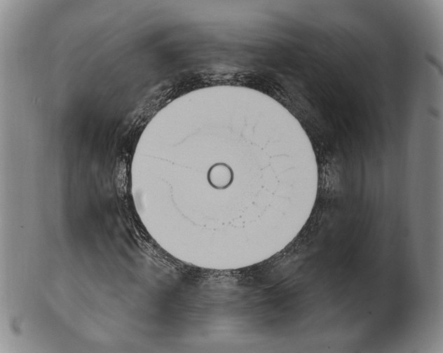 X0000100410820200806271441