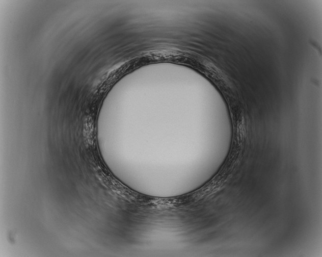 X0000100410822200806271441