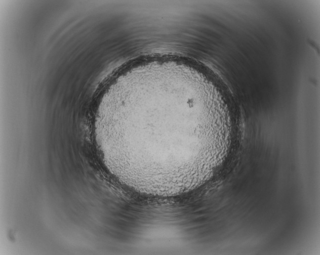 X0000100410823200806271441