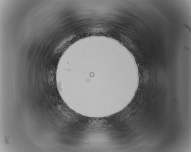 X0000100410824200806271441