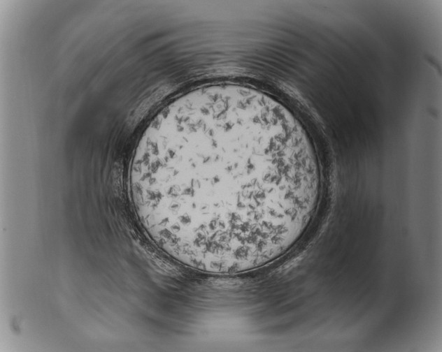 X0000100410825200806271441