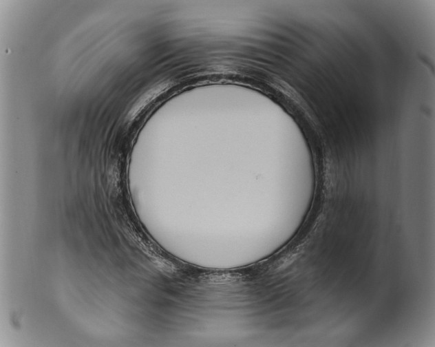 X0000100410826200806271441