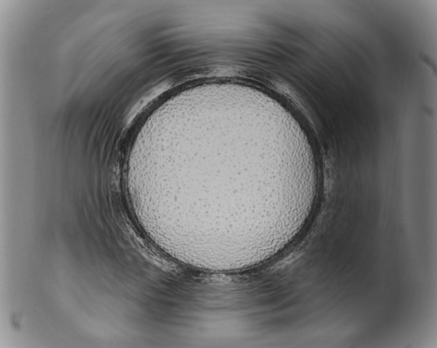 X0000100410827200806271442