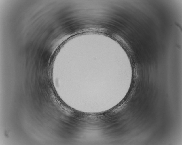 X0000100410828200806271442