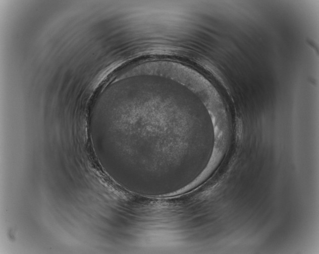 X0000100410829200806271442