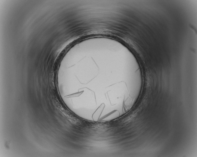 X0000100410830200806271442