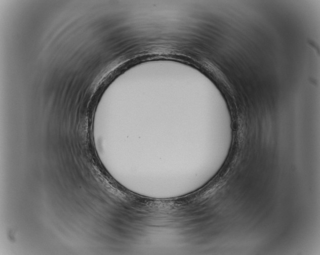 X0000100410831200806271442